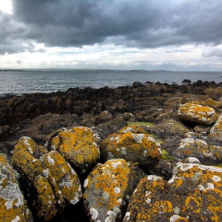 Tern Cottage Groomsport Eksteriør billede