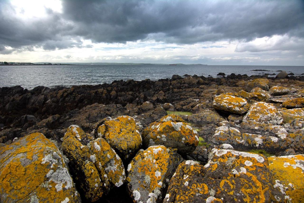 Tern Cottage Groomsport Eksteriør billede